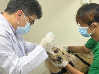  น้องจุก สิ่งแปลกปลอมปลิวเข้าตา